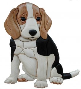 Beagle Puppy Intarsia