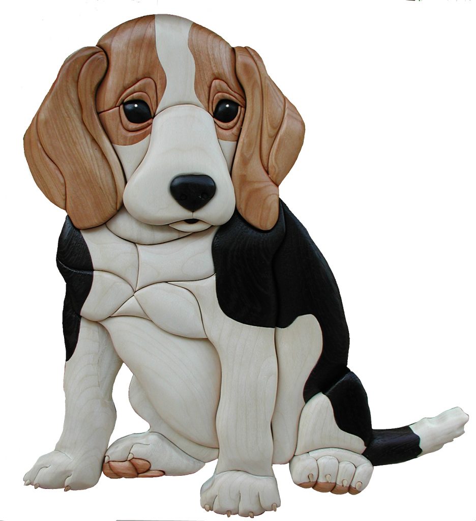 beagle pup intarsia