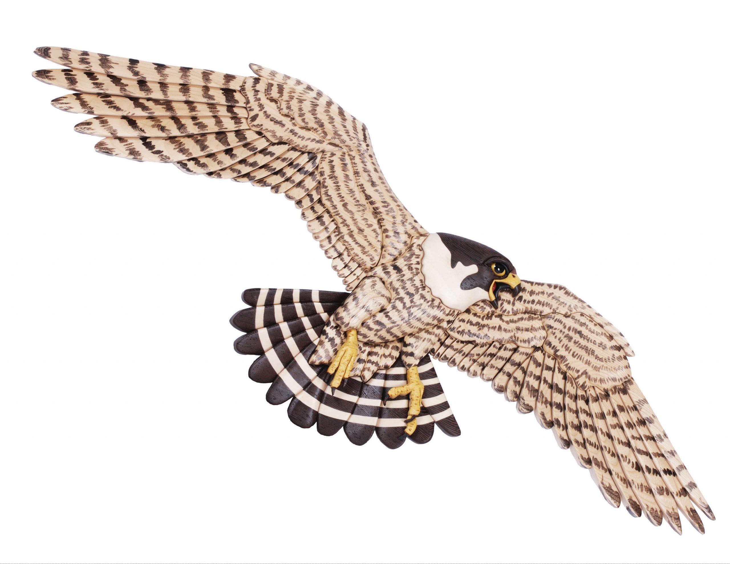 periginefalcon1 (1) | wiseintarsia.com