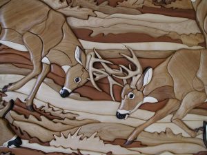 Whitetail Woods Close up