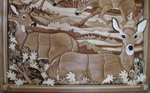 Whitetail Woods Close up