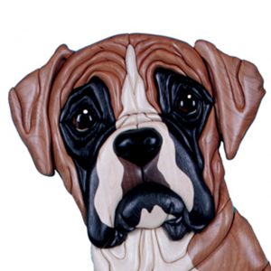 boxer